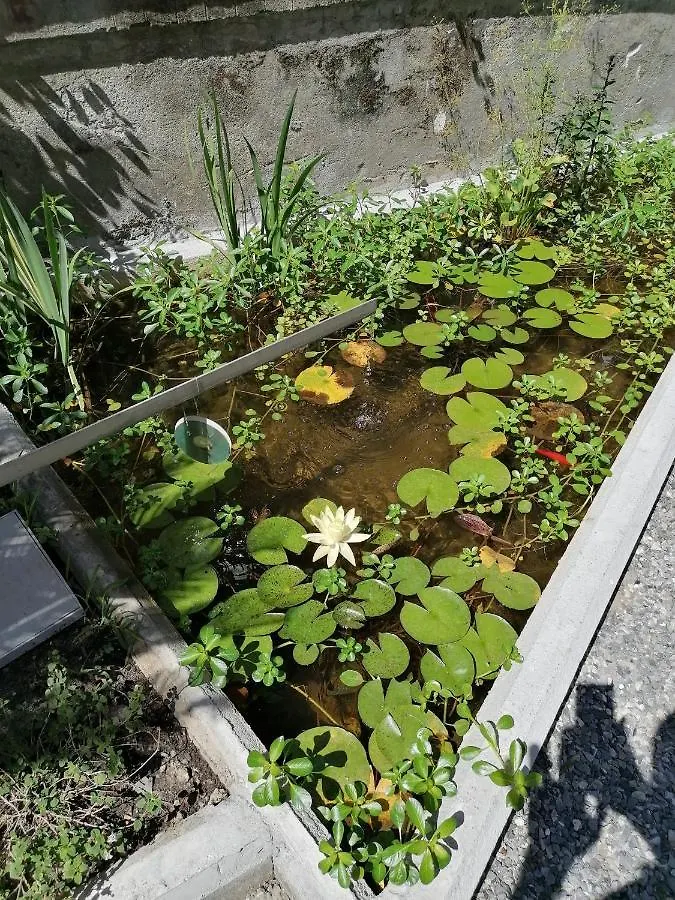 Il Giardino Di Elettra - Freeparking Aparthotel Genua